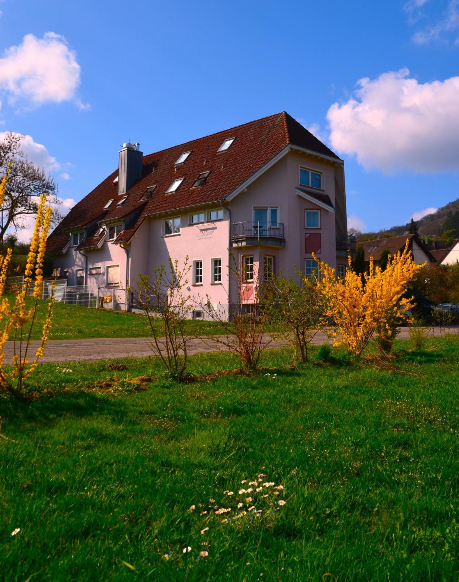 Castell Hotel & Restaurant Leinsweiler Exterior photo